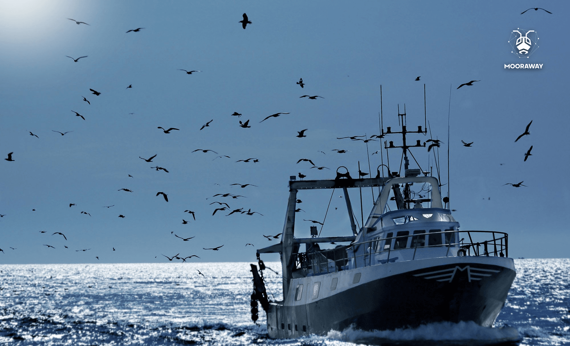 6 кораблей из России застряли в Норвегии